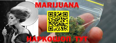сатива Будённовск