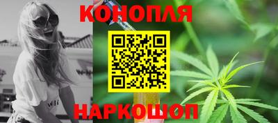 сатива Будённовск