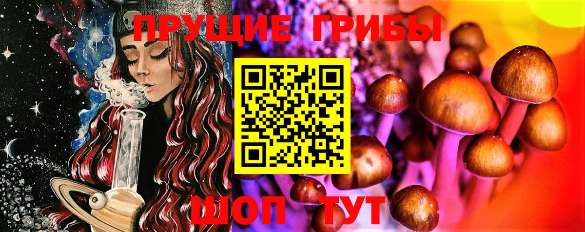 Галлюциногенные грибы Psilocybine cubensis Пенза