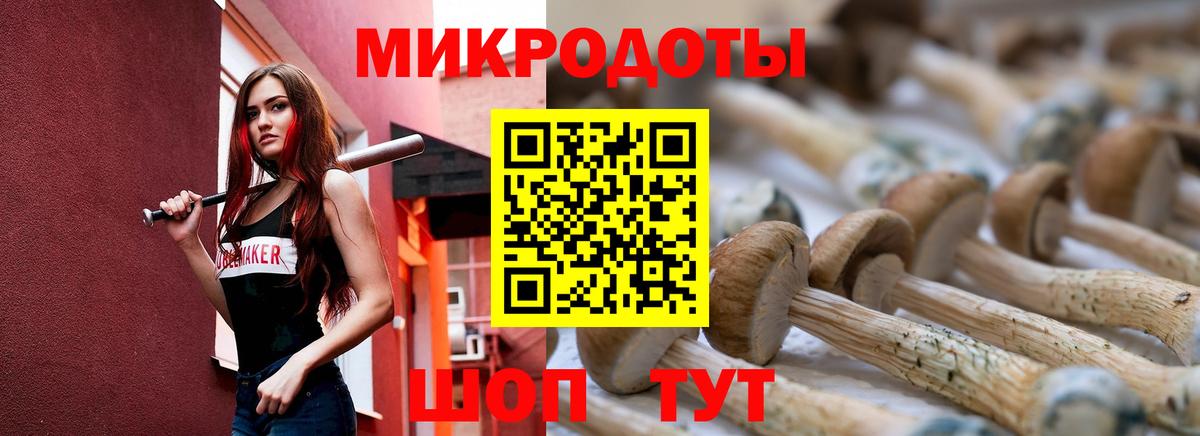 Пенза  Псилоцибиновые грибы Psilocybe  Вход с VPN  Псилоцибиновые грибы ЛСД 